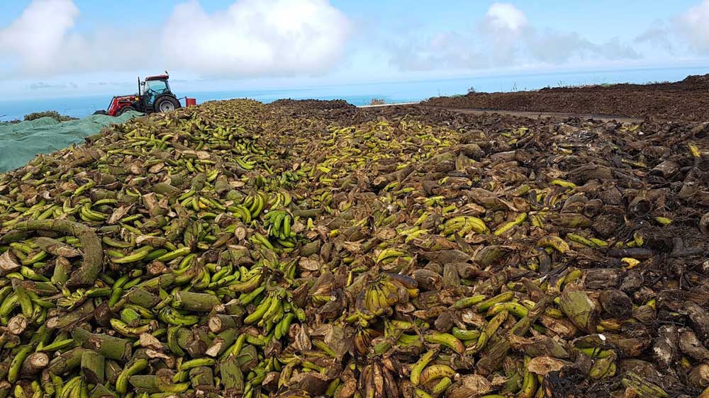 La Prosperidad (La Palma) #Agrocomposta